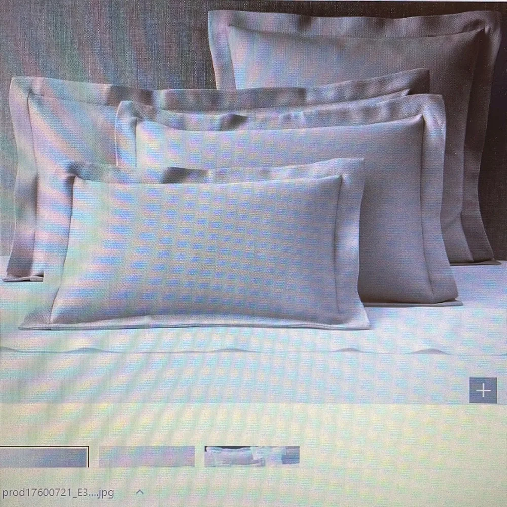 Restoration Hardware Bird’s-Eye Pique Euro Sham